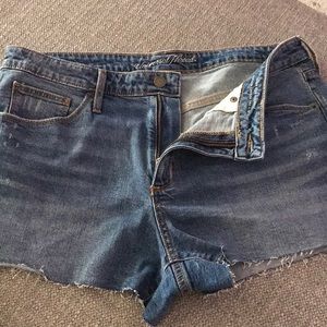Jean shorts NWOT